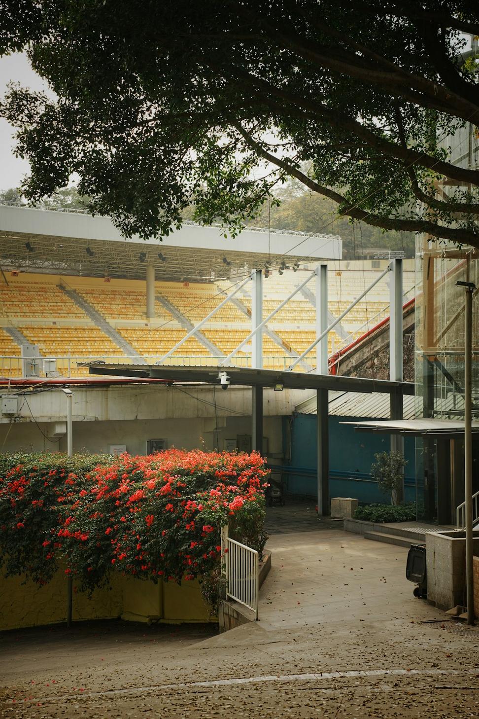 Arena Renovation