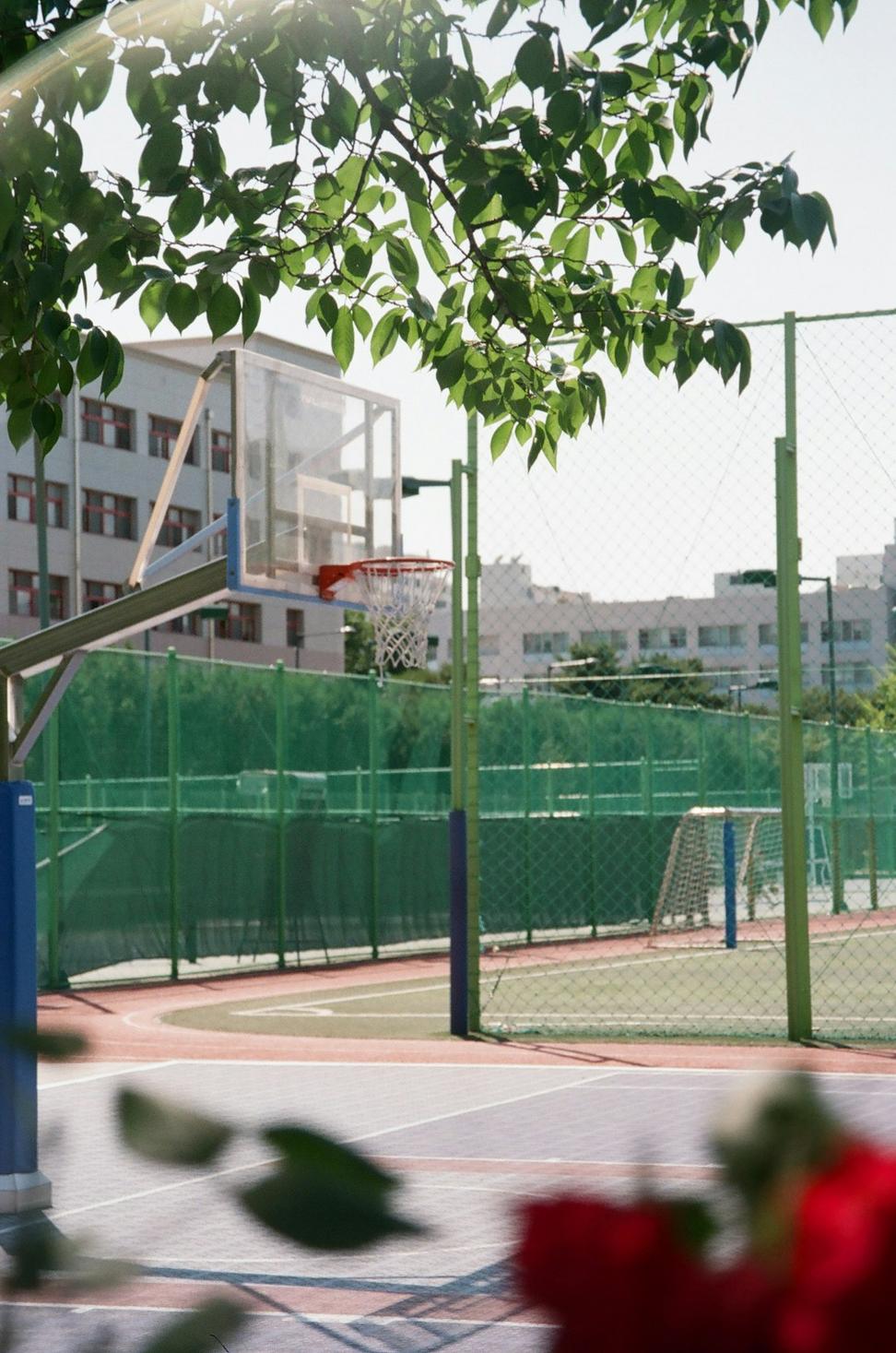 Sports Facility Design